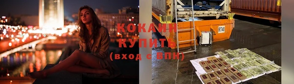 гидра Арсеньев