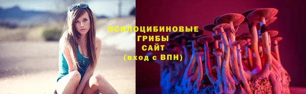 бошки Аркадак