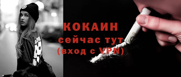 гидра Арсеньев