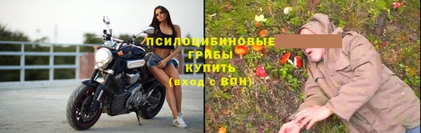бошки Аркадак