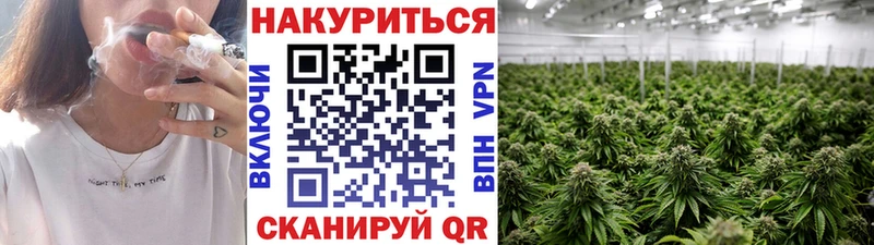 Бошки марихуана сатива  что такое   Реж 